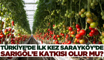 Denizli'de Seracılık Hamlesi!