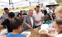 Kayseri Talas Alaybeyli'de şenlik coşkusu