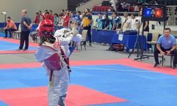 Ege Bölgesi Yıldızlar Ligi Teakwondo Turnuvası sona erdi