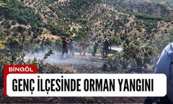 Bingöl'ün Genç İlçesinde orman yangını çıktı