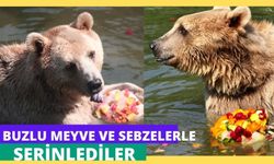 Sıcaktan bunalan hayvanlar buzlu meyvelerle serinledi