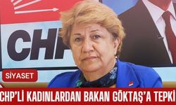 CHP’li Kadınlardan Bakan Göktaş’a Tepki