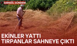 Ekinler yattı, tırpanlar sahneye çıktı