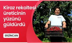 Erzican'da kiraz rekoltesi üreticinin yüzünü güldürdü