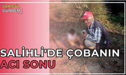 Salihli'de çobanın acı sonu