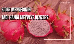 Ejder meyvesinin tadı neye benziyor güzel mi? Ejder meyvesinin tadı hangi meyveye benzer?