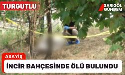 Manisa'da incir bahçesinde erkek cesedi bulundu