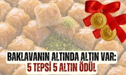 Baklavanın altında altın var: 5 tepsi 5 altın ödül