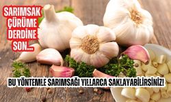 Bu yöntemle sarımsağı yıllarca saklayabilirsiniz! Sarımsak çürüme derdine son...