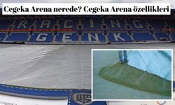 Cegeka Arena nerede? Cegeka Arena özellikleri