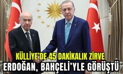 Cumhurbaşkanı Erdoğan, Bahçeli ile görüştü