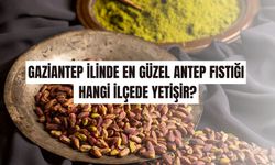 Gaziantep ilinde en güzel antep fıstığı hangi ilçede yetişir?