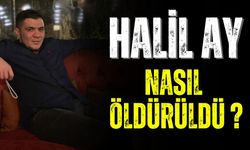 Halil Ay kim öldürdü? Halil Ay Fransa da mı öldürüldü?