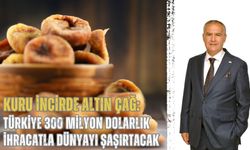 Kuru incirde altın çağ: Türkiye 300 milyon dolarlık ihracatla dünyayı şaşırtacak