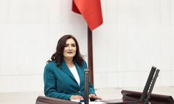 İlkokul Tacizine Göz Yuman Okula CHP’li Vekilden Sert Eleştiri