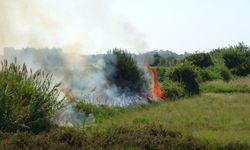 Yangın Su Tankerinin Dikkati Sayesinde Söndürüldü