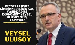 Veysel Ulusoy kimdir nerelidir kaç yaşındadır? Ekonomist Veysel Ulusoy ne iş yapıyor?