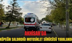 Akhisar Gölet’te köpeğin kovaladığı motosiklet sürücüsü yaralandı