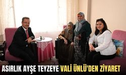 Asırlık Ayşe teyzeye Vali Ünlü'den ziyaret