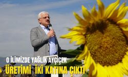 O ilimizde yağlık ayçiçeği üretimi 2 katına çıktı