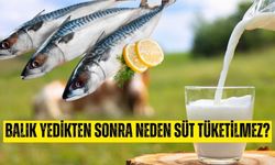 Balık yedikten sonra neden süt ürünleri tüketilmez?