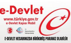 Hemen kontrol edin parayı çekin! e-Devlet hesabınızda birikmiş paranız olabilir