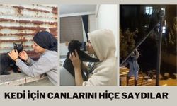 İki genç kedi için canlarını hiçe saydılar