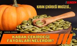 Kabak çekirdeği faydaları nelerdir? İşte Kabak çekirdeği mucizesi...