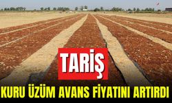 Tariş Kuru Üzüm Avans Alım Fiyatını Artırdı