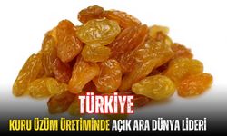 Türkiye kuru üzüm üretiminde açık ara dünya lideri