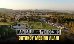 Manisalı vatandaşlar Ortaköy mesire alanını çok sevdi