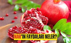 Nar'ın Faydaları! Nar metabolizmayı hızlandırır mı? Nar bağırsakları çalıştırır mı?