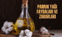 Pamuk yağı Faydaları ve Zararları