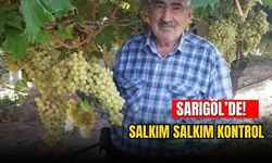 Sarıgöl’de üzüm bağlarının beyaz örtüleri görevi tamamladı