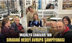 Madalya Canavarı"nın sıradaki hedefi Avrupa Şampiyonası