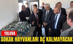 Yalova'da sokak hayvanlarının karnı aç kalmayacak