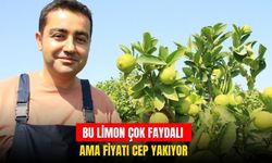 Bu limonun fiyatı cep yakıyor