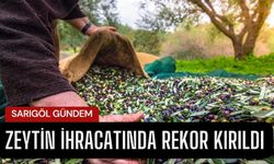 Zeytin ihracatında Cumhuriyet tarihinin rekoru kırıldı! 184 milyon 510 bin dolar