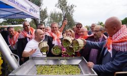 Zeytin'in başkentinden renkli görüntüler