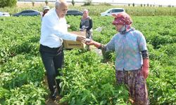 Milyarlık yatırım, tarıma ve istihdama büyük katkı sağlayacak