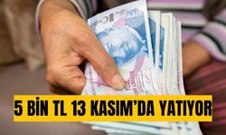 5 bin 97 TL Devlet Destekleri 13 Kasım'da hesaplara yatacak