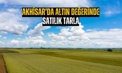 Akhisar'da altın değerinde tarla satılığa çıkarıldı