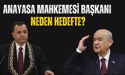 Anayasa mahkemesi başkanı ne yaptı? Anayasa mahkemesi başkanı kim? Zühtü Arslan Neden hedefte? Devlet Bahçeli ne dedi