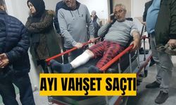 Ayı vahşeti | Sürü otlatan 2 kişiye saldırdı