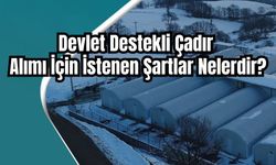 Devlet Destekli Çadır Alımı İçin İstenen Şartlar Nelerdir?