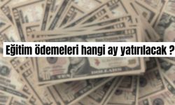 İlk taksitler yatırıldı mı, desteğin diğer ödemeleri hangi ayda yatırılacak ?