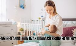 Emziren annelerin uzak durması besinler neler?