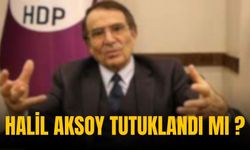 HDP eski milletvekili Halil Aksoy neden ve nerede tutuklandı ?