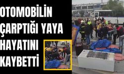 Manisa'da otomobilin çarptığı yaya öldü