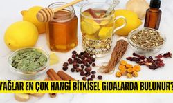 Yağlar bitkisel gıdalardan en çok nelerde bulunur?